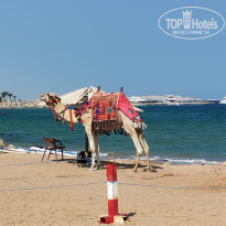 фото из отзыва ID 2743708