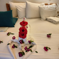 фото из отзыва ID 2743709