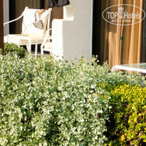 фото из отзыва ID 2743709