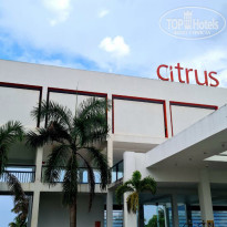 фото из отзыва ID 2743755