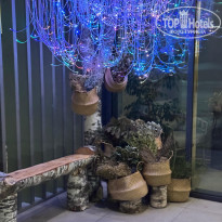 фото из отзыва ID 2743161