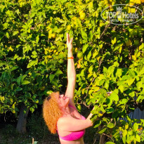 фото из отзыва ID 2743814