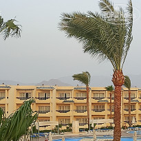 фото из отзыва ID 2743810