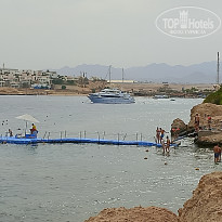 фото из отзыва ID 2743810