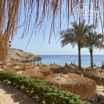 фото из отзыва ID 2743812