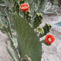 фото из отзыва ID 2743825