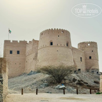 фото из отзыва ID 2743834