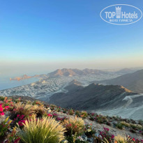 фото из отзыва ID 2743834