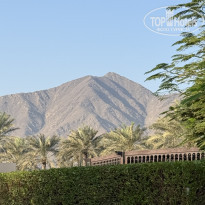 фото из отзыва ID 2743834