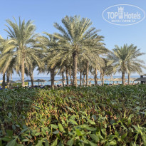 фото из отзыва ID 2743834