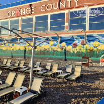 фото из отзыва ID 2743870