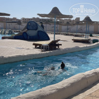 фото из отзыва ID 2743875