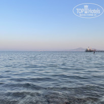 фото из отзыва ID 2743875