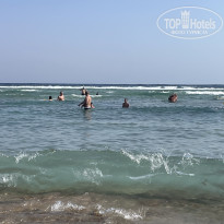 фото из отзыва ID 2743875