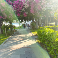 фото из отзыва ID 2741895