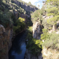 фото из отзыва ID 2743887