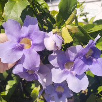 фото из отзыва ID 2743887