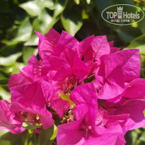 фото из отзыва ID 2743887