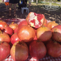 фото из отзыва ID 2743887