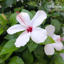 фото из отзыва ID 2741895