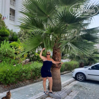 фото из отзыва ID 2743908