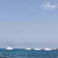 фото из отзыва ID 2743890