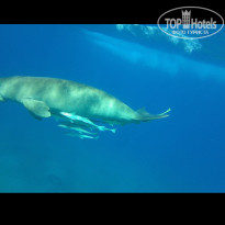 фото из отзыва ID 2743890