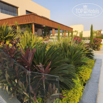 фото из отзыва ID 2743890