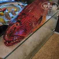 фото из отзыва ID 2743890