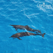 фото из отзыва ID 2743890