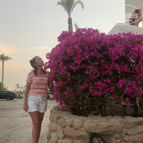 фото из отзыва ID 2743949