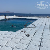 фото из отзыва ID 2743949