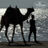 фото из отзыва ID 2743956