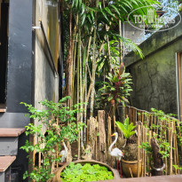 фото из отзыва ID 2743985