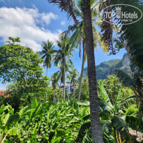 фото из отзыва ID 2743985