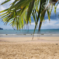 фото из отзыва ID 2743985