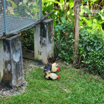 фото из отзыва ID 2743985