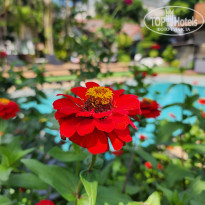 фото из отзыва ID 2743985