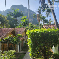 фото из отзыва ID 2743985