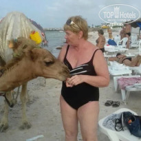 фото из отзыва ID 2743990