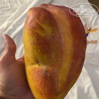 фото из отзыва ID 2744023