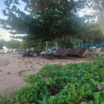 фото из отзыва ID 2744024