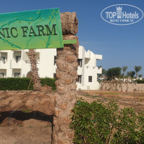 фото из отзыва ID 2744015