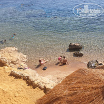 фото из отзыва ID 2744015