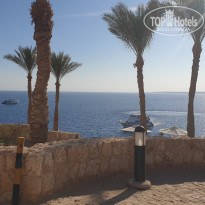 фото из отзыва ID 2744015