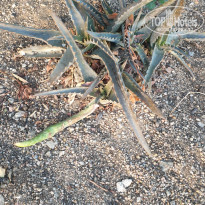 фото из отзыва ID 2744015