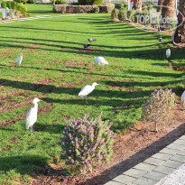 фото из отзыва ID 2744040