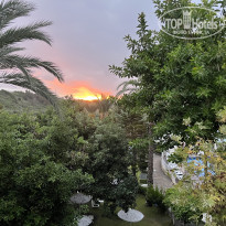 фото из отзыва ID 2744044