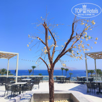 фото из отзыва ID 2744095