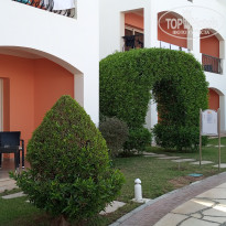 фото из отзыва ID 2744099